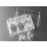康宁（Corning）3414 Transwell嵌套，含6孔板（PC膜，24mm，孔径3.0um)