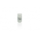 翌圣生物 RIPA lysis buffer (strong) RIPA裂解液（强）100ml
