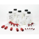 GE LIFE Cytiva Protein G Sepharose 4 Fast Flow 填料25ML