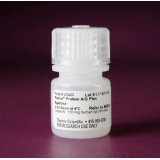 Thermo Pierce™ Protein A/G Plus Agarose