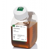Thermo 马血清，热灭活，新西兰/500ml