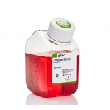 Thermo Gibco™ 胰蛋白酶-EDTA (0.25%)，含酚红/500ml