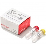 Thermo Lipofectamine 3000/0.1ml