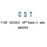 CST TIAR (D32D3) XP® Rabbit mAb #8509s/100ul