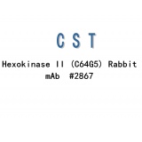 CST Hexokinase II (C64G5) Rabbit mAb #2867S/100ul