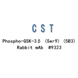 CTS Phospho-GSK-3β (Ser9) (5B3) Rabbit mAb #9323S/100ul