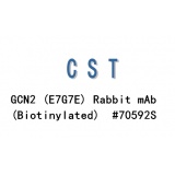 CST GCN2 (E7G7E) Rabbit mAb (Biotinylated) #70592S/100ul