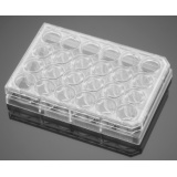 康宁（Corning）BD Biocoat 354480细胞侵袭小室基质胶包被,8.0μm,PET膜