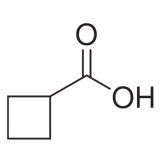 阿拉丁 环丁烷甲酸/100g