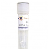 碧云天 EMSA探针－AP1 (1.75μM)（60μl）