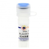 碧云天 BL21 Star (DE3)pLysS甘油菌(低本底蛋白高诱导表达用)(D0341)