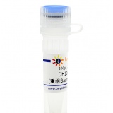 碧云天 DH10Bac甘油菌(重组Bacmid制备用菌株)