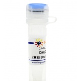 碧云天 DH10Bac甘油菌(重组Bacmid制备用菌株)
