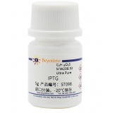 碧云天 IPTG(异丙基-β-D-硫代半乳糖苷)(ST098-5g)