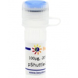 碧云天 pShuttle-CMV-N-HA(腺病毒质粒)(D8133-100μg)
