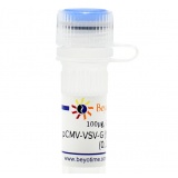 碧云天 pCMV-VSV-G (慢病毒包装用质粒)(D8215-100μg)