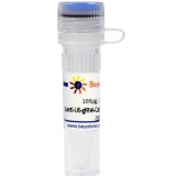 碧云天 pLenti-U6-gRNA-Cas9-P2A-EGFP-Puro&Zeocin（慢病毒质粒）(D8303-100μg)