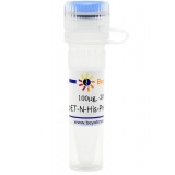 碧云天 pET-N-His-PreScission-SUMO(原核表达质粒)(D2918-100μg)