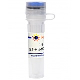 碧云天 pET-His-MCS-Avi (Avi标签原核表达质粒)(D3005-1μg)