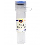 碧云天 pET-N-Avi-His-SUMO3 (Avi标签原核表达质粒)(D3007-100μg)
