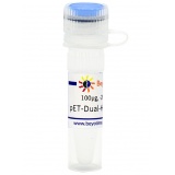 碧云天 pET-Dual-His-Avi-MCS-BirA (生物素标记原核表达质粒)(D3011-100μg)