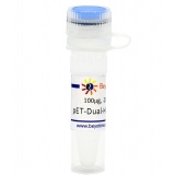 碧云天 pET-Dual-His-Avi-MCS-BirA (生物素标记原核表达质粒)(D3011-100μg)