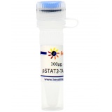 碧云天 pSTAT3-TA-luc-CP(超灵敏快速降解型报告基因质粒)(D2260-100μg)