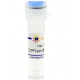 碧云天 TOPFlash(报告基因质粒)(D2501-1μg)