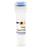 碧云天 SuperTOPFlash-CP(超灵敏快速降解型报告基因质粒)(D2506-100μg)