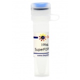 碧云天 SuperFOPFlash-CP (超灵敏快速降解型报告基因质粒)(D2508-100μg)
