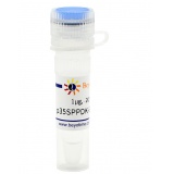 碧云天 p35SPPDK-EGFP-Flag(植物用绿色荧光蛋白)(D2627-1μg)