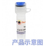 碧云天 BCL2基因敲除质粒(L00141)