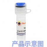 碧云天 EGR1基因敲除质粒(L00231)