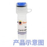 碧云天 PLN基因敲除质粒(L00376)