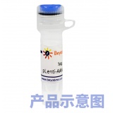 碧云天 SOD2基因敲除质粒(L00441)