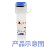 碧云天 ERBB2基因敲除质粒(L01560)