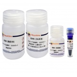 碧云天 BeyoMag磁珠法DNA凝胶回收试剂盒(D0043S)