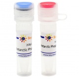 碧云天 Antarctic Phosphatase(Thermosensitive磷酸酶)(D7028S)