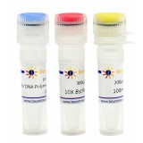 碧云天 Bst DNA Polymerase, Large Fragment(嗜热脂肪芽孢杆菌)(D7050S)