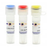 碧云天 Bst DNA Polymerase, Large Fragment(嗜热脂肪芽孢杆菌)(D7050M)