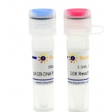 碧云天 phi29 DNA Polymerase(phi29 DNA聚合酶)(D7053L)