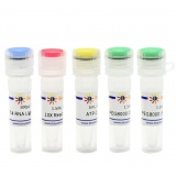 碧云天 T4 RNA Ligase 1 (ssRNA Ligase)（T4 RNA连接酶1）(R0621M)