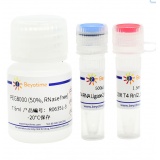 碧云天 T4 RNA Ligase 2, truncated（T4 RNA连接酶2截短型）(R0635L)