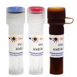 碧云天 AlkB (RNA/DNA去甲基化酶, Nuclease-free)