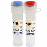 碧云天 T3 RNA Polymerase（T3 RNA聚合酶）(R7009S)