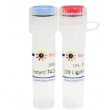 碧云天 Instant T4 DNA Ligase (超快速T4 DNA连接酶)(D7009M)