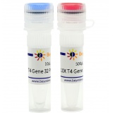 碧云天 T4 Gene 32 Protein (ssDNA结合蛋白)(D7057S)