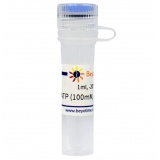 碧云天 ATP (100mM, Nuclease free)(APT溶液)(D7378-1ml)