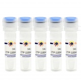 碧云天 CTP (100mM, Nuclease free)(CTP溶液)(D7379-5ml)