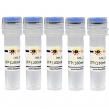 碧云天 GTP (100mM, Nuclease free)(GTP溶液)(D7380-5ml)